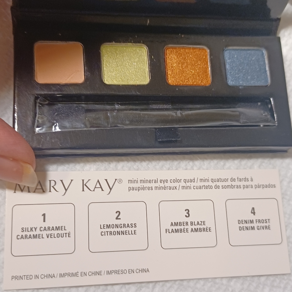 Mary Kay Mini Mineral Eye Color Quad - NEW - 2 Available For Purchase